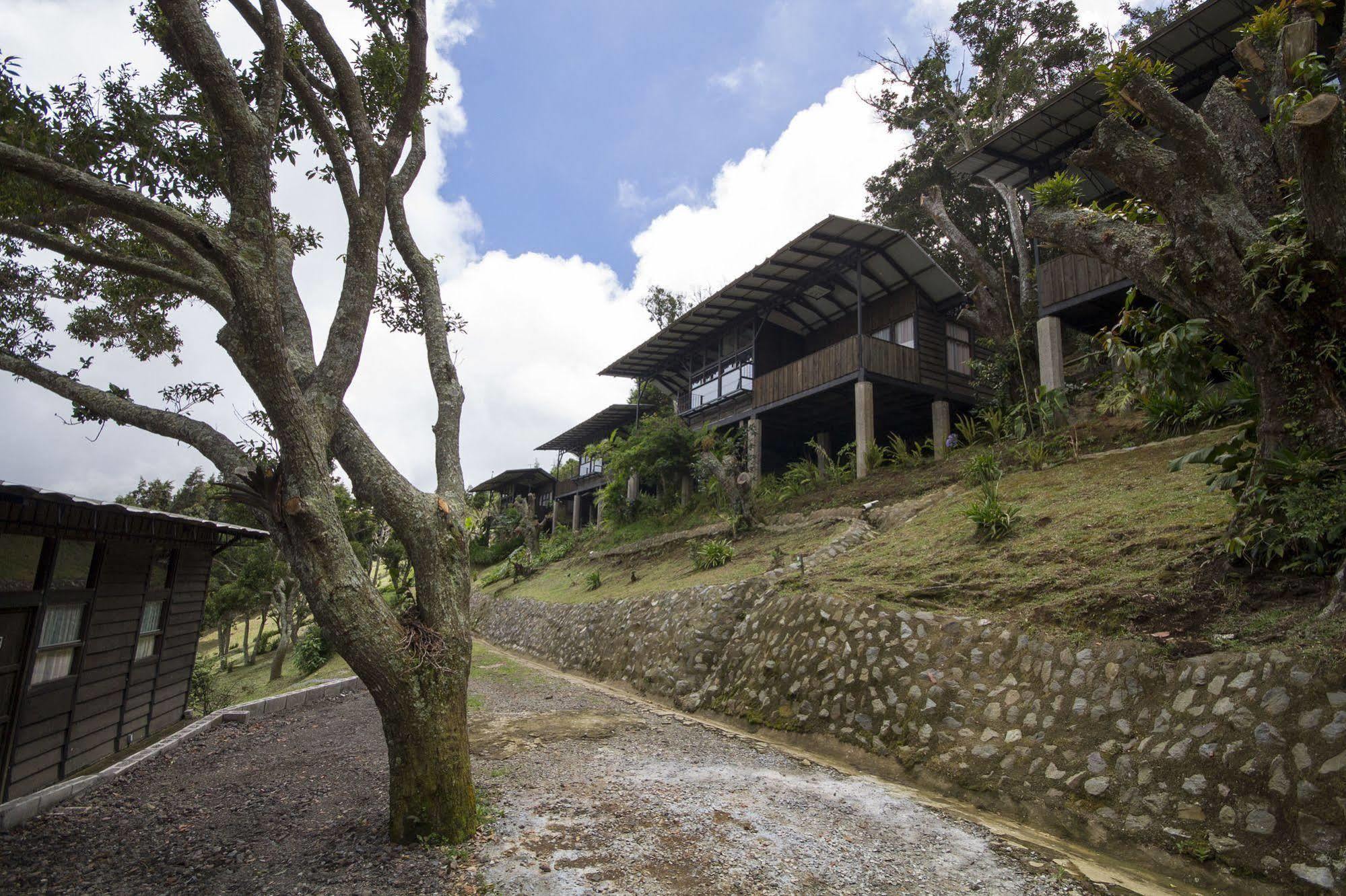 Hotel Alto Palomo Bajos del Toro Luaran gambar